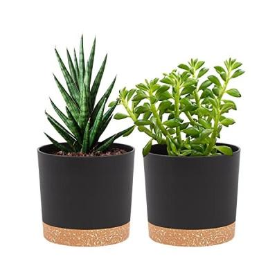 China Europe Nordic Indoor Cylinder Small Succulent Plant New Arrival Elegant Decor Flower Pots for sale