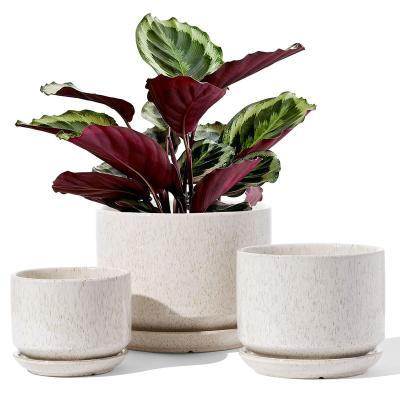 China Chinese Garden Decorations Balcony Planters Outdoor Europe Plant Pots For Plants for sale