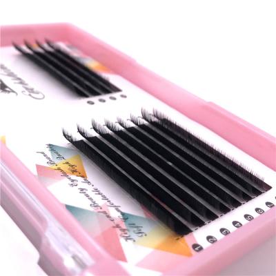 China Private Blooming Volume 0.03 LabelEasy Natural Soft Eyelash 0.05 0.07 Mink Quick Fans Eyelash Extension False Eyelashes Whips Extension for sale