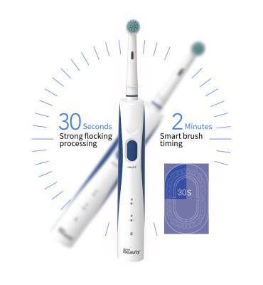 China Best Price Battery Operated Head Radio Electric Toothbrush Adult Ultrasonic Vibration Rotating Inductive Filling Electric Toothbrush for sale