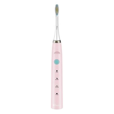 China Iconbeauty BH-121 Battery Operated Sonic Adult Rechargeable Electric Dentalbrush Clean Teens for sale