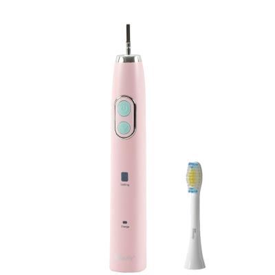 China Iconbeauty OEM 2021 New Design Battery Operated Cartoon Soft/ODM Rechargeable Sonic Toothbrush For Children Electric Toothbrush for sale