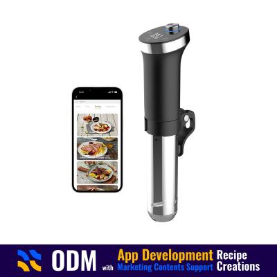 China Custom Smart Recipe Smart Robot WiFi Bluetooth APP Control OEM ODM Stick Household Sous Vide Household Slowcook Multifunctional Slowcook for sale