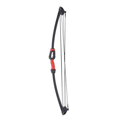 China SHOOTING 2022 Newest Archery Target Shooting Practice Professional Glass Fiber recurve compound bow for baby for sale