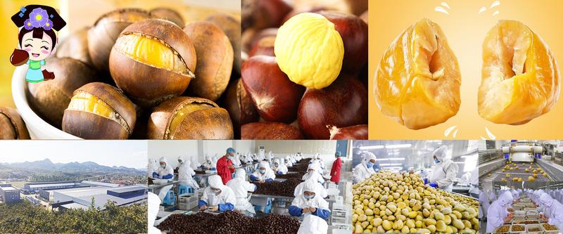 Verified China supplier - Qinhuangdao Baifeng Food Co.,Ltd