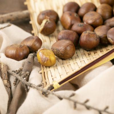 China 2020 Year Fresh Chestnut Natural Sweet Taste for sale