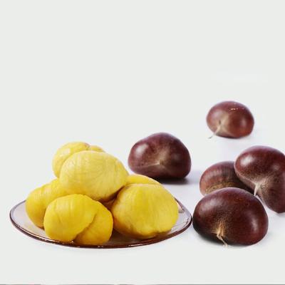 China Fresh Organic Fresh Chestnuts Bulk Price Per Kilogram for sale