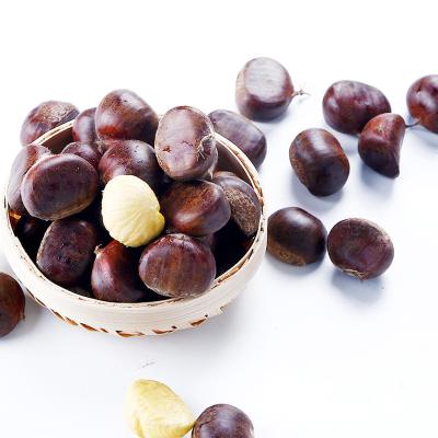 China Fresh Hot Selling High Quality New Culture Fresh Dandong Chinese Chestnut for sale