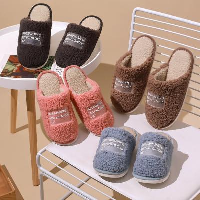 China Fashion Trend Women's Slippers Wholesale Warm Home Indoor Slippers Winter Fuzzy Slippers Slippers for sale