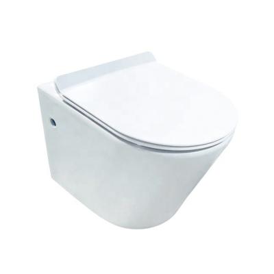 China Newest Modern Design Accept Packaging Customization PP Seat Professinal Washdown Wall Hung Toilet for sale