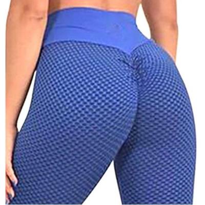 China Compression Leggings Breathable Fitness Clothing Plus Size Muslims for sale