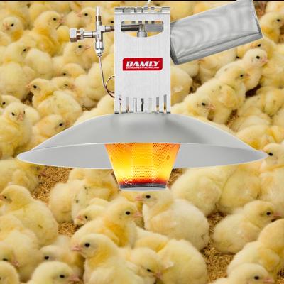 China Farms Poultry Diesel Gas Brooder Box Heater For Chicken Farm House for sale