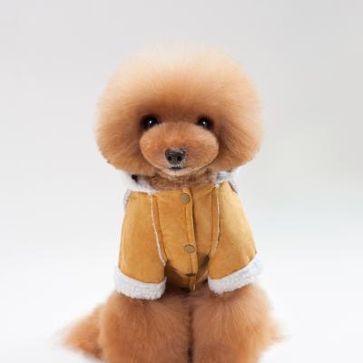 China Viable beauty and soft dog clothes new pet lovable amazon pet apparel hot selling clothes for pet for sale