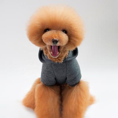 China 2021 Lovely Sustainable Pet Clothes And Luxury Comfortable Cats Clothing Dogs Cute Clothing For Small Pets for sale