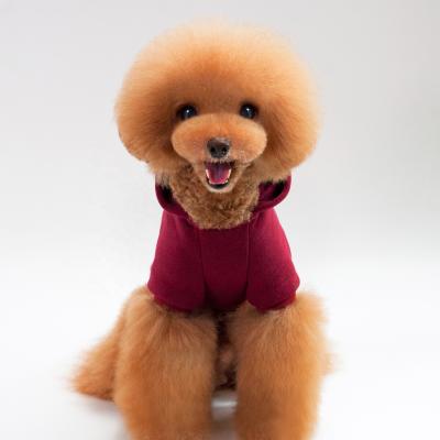 China New Amazon Sustainable Hot Selling Pet Clothes Beauty And Soft Dog Clothes Lovable Pet Clothing For Pet for sale