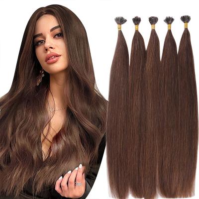 China Russian European Remy Hair Extensions 100% Double Silk U Tip Keratin Hair Straight Drawn Brown Pre Bonded Hair Extensions for sale