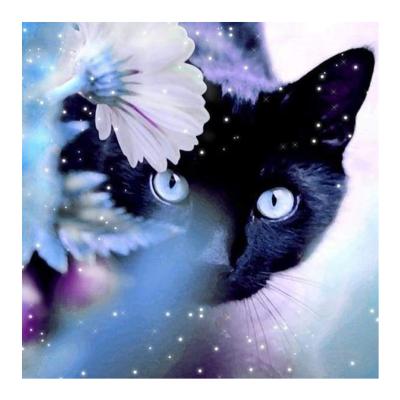 China 5d Diy Diamond Painting Kits Violet Kitty Cat Diamond Embroidery Cross Stitch European Modern Home Decor for sale