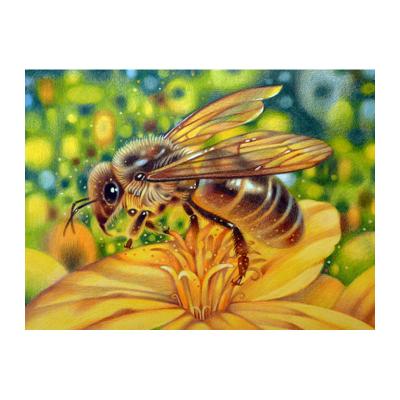 China Modern 5d Diy Diamond Painting Bee Collecting Honey on Flower Diamond Embroidery Wall Art Decor Mosaic Gift for sale