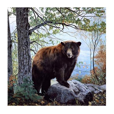 China Modern The Beautiful Bear Brown Diamond Painting Diy Needlework Cross Stitch Diamond Embroidery Home Art Wall Decor Canvas Painting for sale