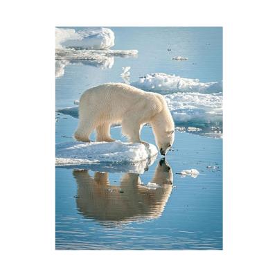 China Modern New Products Wholesale Full Diamond Painting Polar Bear Foraging Diamond Embroidery Home Bedroom Decor Diy Drill for sale