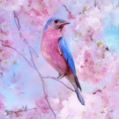 China Modern Diy 5d Diamond Painting Birds And Flowers On Branches Wall Pictures Of Diamond Embroidery Home Decor Picture Figure for sale