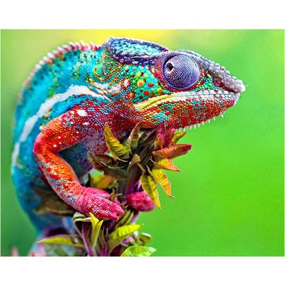 China Modern 5d Diy Diamond Painting Chameleon On The Leaves Living Room Of Diamond Embroidery Wall Paintings For Picture for sale