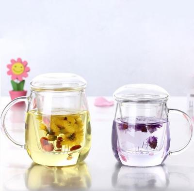 China 350ml Viable Insulated Borosilicate Glass Tea Infuser Brewing Cup Set for sale