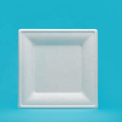 China Disposable Bagasse Tableware Disposable Making for sale