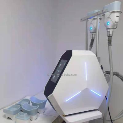 China 2021 best double fat weight loss machine freezing diet cryo lose weight 360 cryo lipolysis machine for fat to reduce for sale