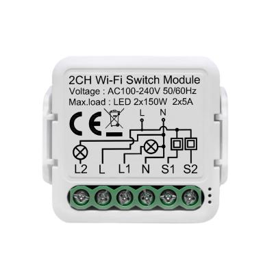 China Tuya 2gang WiFi Wifi Switch Module With Dual Way Control Life Smart Home Switch Work For Alexa Google Home for sale