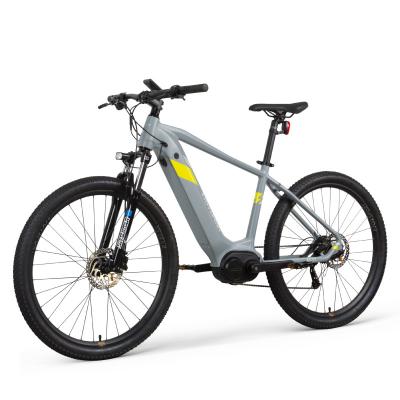 China Aluminum Certification CE Retailsale Retro 36v 250w 500w Electric Bike For Men And Women for sale