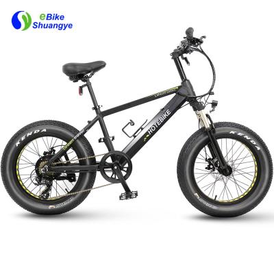 China Aluminum Alloy New Model 21 Speed ​​20*4.0 Inch Fat Tire Electric Bike 36V 250W 350W 500W for sale