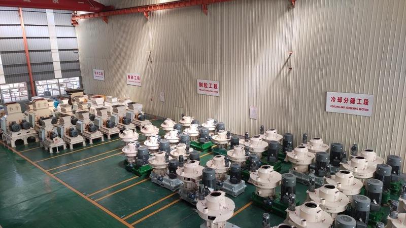 Fornitore cinese verificato - Shandong Rotex Machinery Co., Ltd.