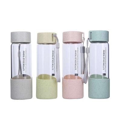 China Sustainable Glass Bottle 300ml High Quality Supplier Reusable High Borosilicate Glass With Carrying Rope for sale