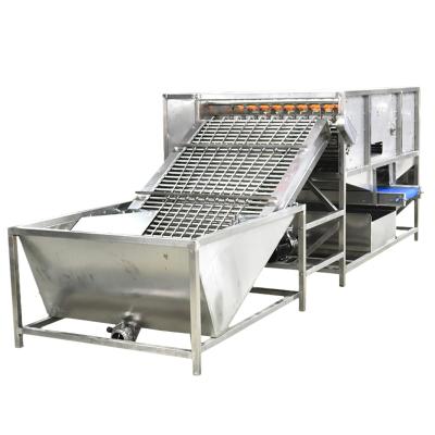 China Automatic Food Processing (Egg Processing) Egg Shelling Machine Peeling Machine Boiled Cooked Egg Sheller Peeler for sale