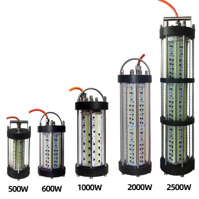 China Fish Attracting Boat Green Led Fishing Lamps Night Submersible AC220V 3000W Underwater Dock Fishing Led Lamp Light for sale