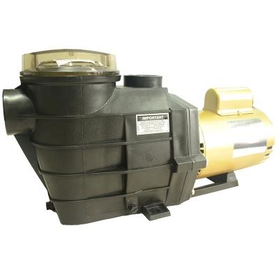 China China Supplier Swimming Pool Pump 1hp 2hp 3hp Swimming Pool Water Pump Electric Swimming Pool Pump For Sale for sale