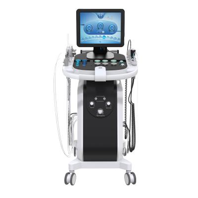 China Hydra Microdermabrasion Spa Beauty Facial Exfoliators 14&15 In 1 Machine Hydraulic Water Oxygen Jet Enlarge Breast Hip Lift Skin Rejuvenation for sale