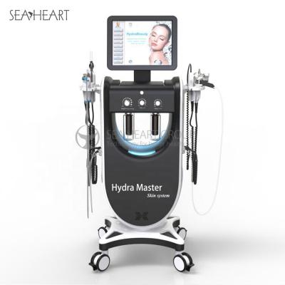 China For commercial & Price Home Facial Facial Dispenser Cleaning Machine 9 In 1 Water Dermabrasion Machine for sale