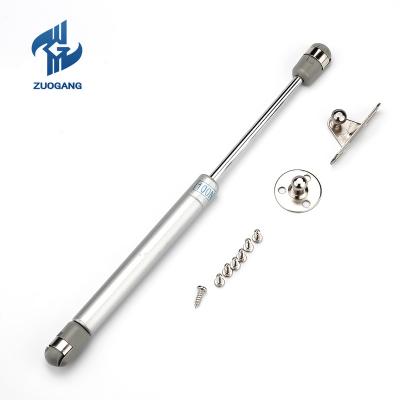 China Adjustable Cabinet Damper Wholesale OEM ODM Furniture Cabinet Turkey Damper Strut for sale