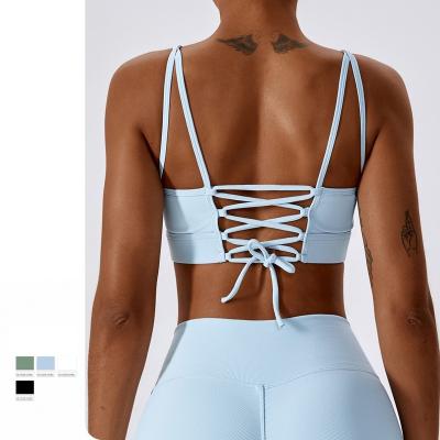 China Seamless Lace-up Quick dry Workout Stretch Running Sports Bra Women Padded Sport Fitness Workout Gym Sports Bra for sale