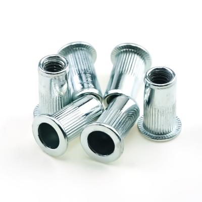 Cina Factory Customized Flat Nuts Rivet Nut Rivet Nuts Factory Steel Nickel Plated White Zinc Rivet Flat Nuts in vendita