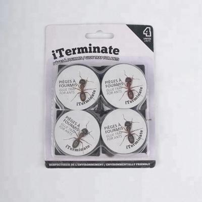 China 4 Disposable Ant Trap Killer High Viscosity Packets for sale