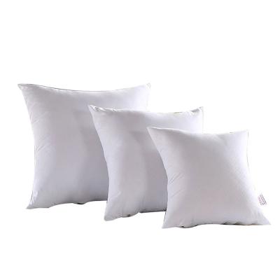 China Anti-Pull Factory Direct Selling Custom Waist Cushion Pillow Insert Core White Core for sale