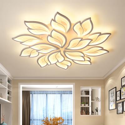 China New Modern Led Ceiling Special Shaped Lamp Ceiling Lights For Living Room Nordic Home Indoor Chandelier Bedroom Kitchen Decoration Acrylic Fixture for sale