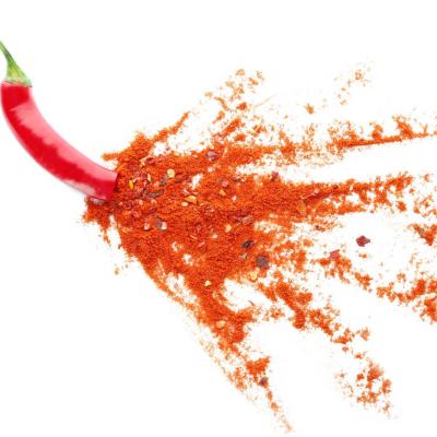 China Factory Price Fresh Direct Natural Red Hot Spicy Chili Powder Spice Cooking Red Chilli Powder Dried Chili Powder for sale