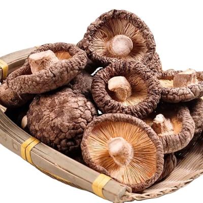 China Wholesale High Quality Dried Shiitake Mushroom Xianggu 250g High Protein Mushroom For Sale for sale