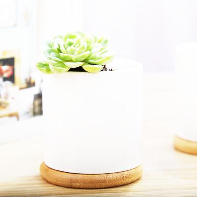 China Mini Size Succulent Plant Pots Modern Nordic Breathable Ceramic for sale