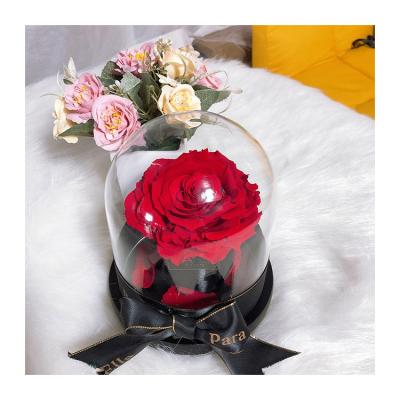 China Holiday decoration & Wholesale Gift Luxury Glass Dome Natural Eternal Rose Preserved Flower Forever Rose Preserved Flower for sale