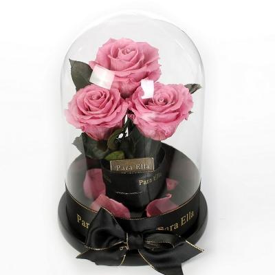 China Best Selling Eco-friendly Preserved Mounted Eternal Flower For Valentine's Day Gift Glass for sale